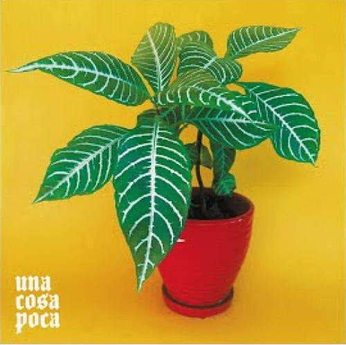Cristóbal Briceño-Una Cosa Poca (CD)