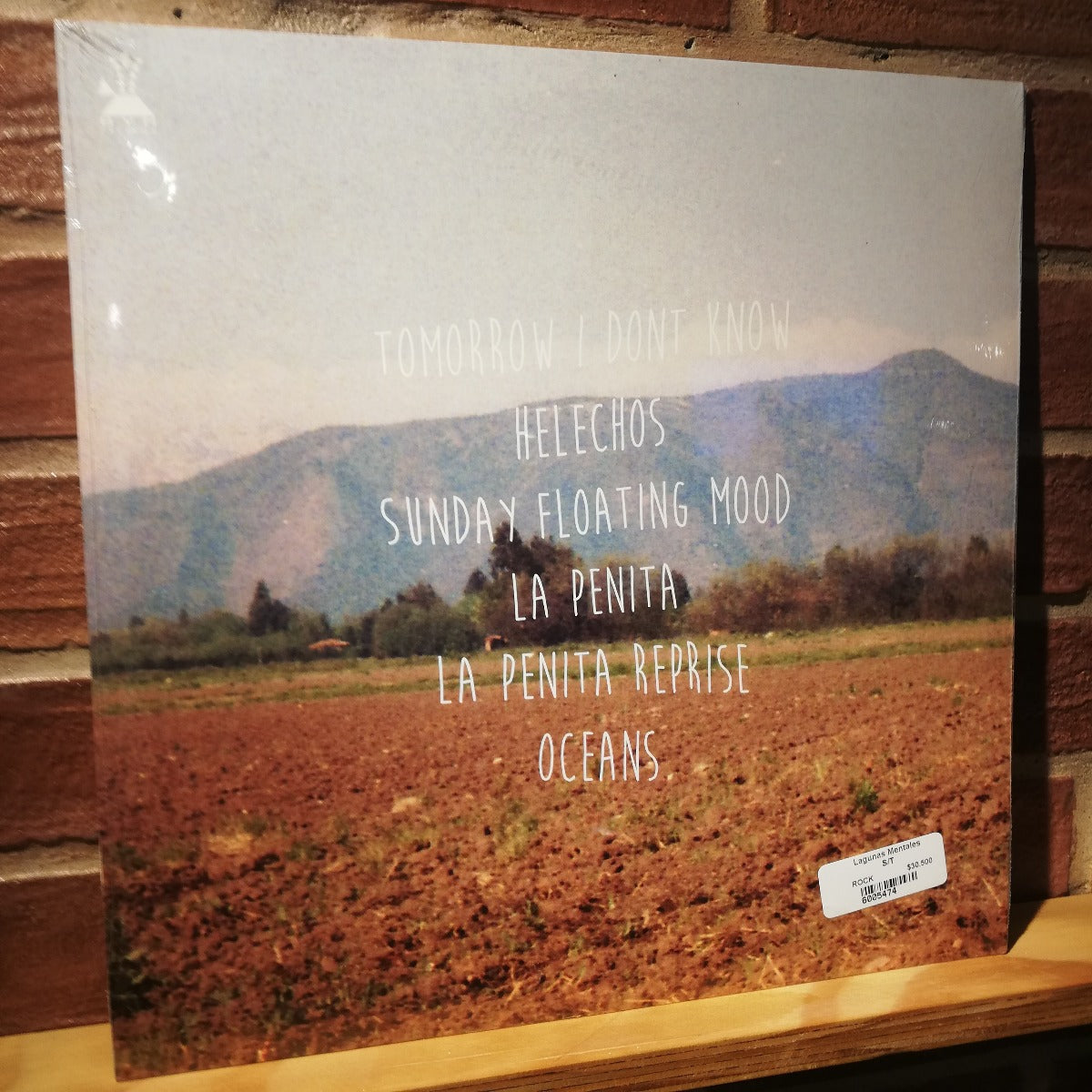 Lagunas Mentales S/T (LP 12")