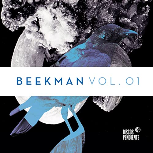 Beekman-Vol 1