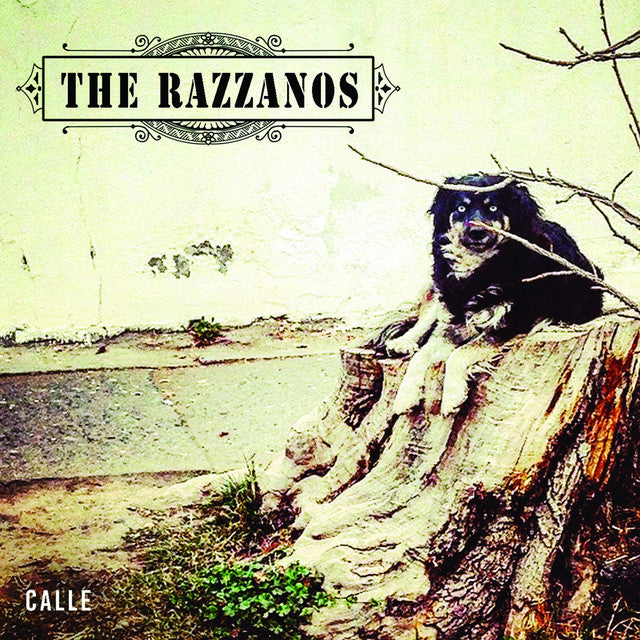 The Razzanos-Calle