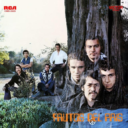 Frutos del Pais-Homonimo (LP 12")