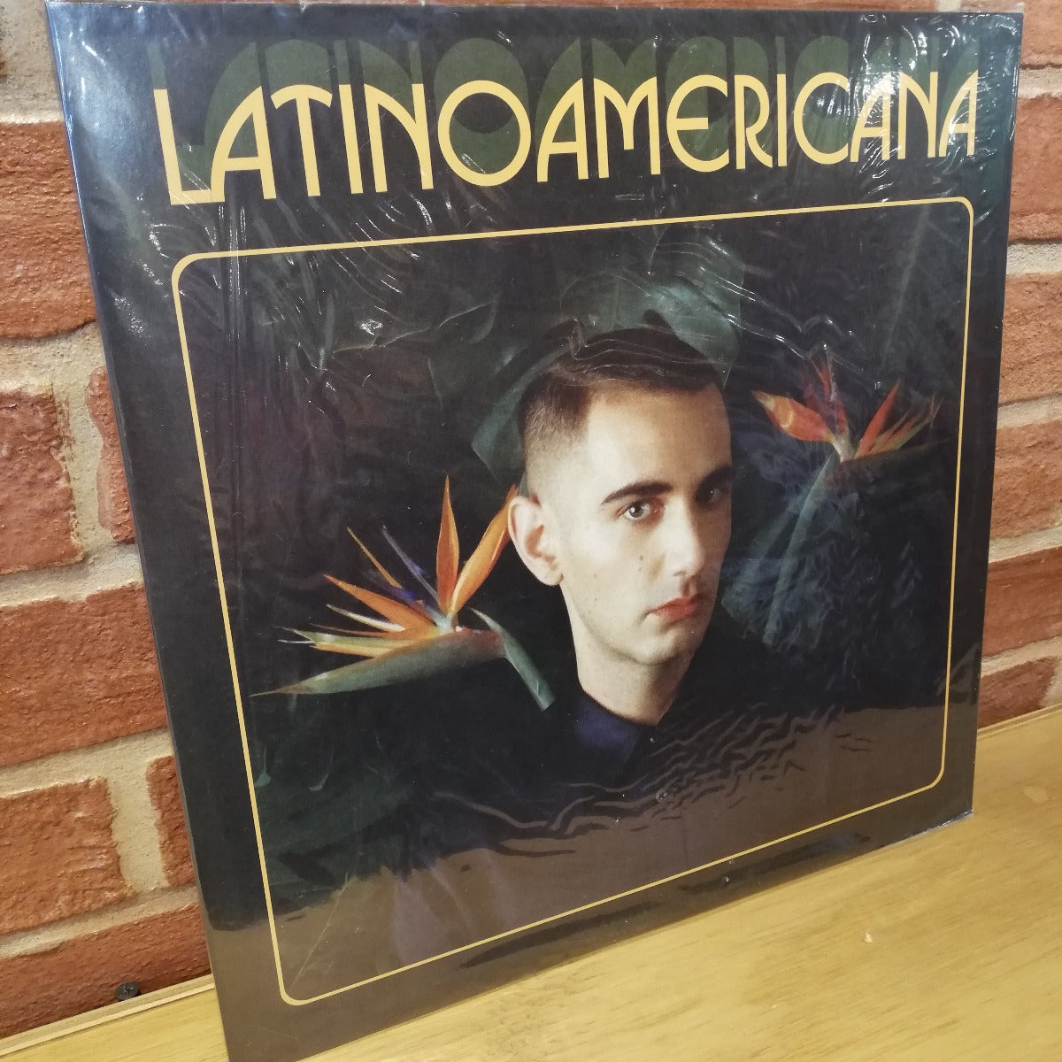 Alex Anwandter-Latinoamericana