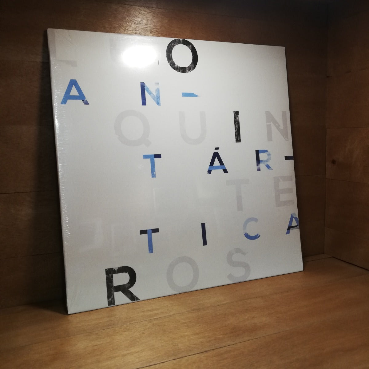 Leo Quinteros-Antártica