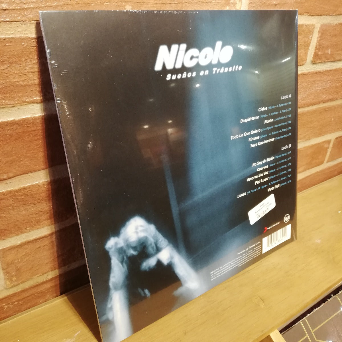 Nicole-Sueños en Tránsito