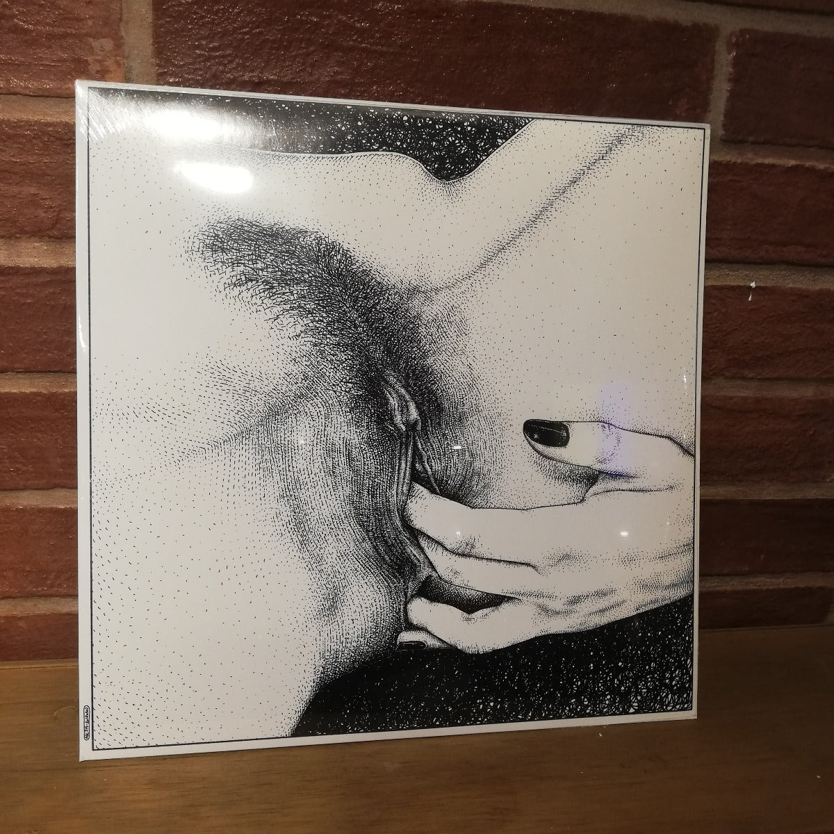 Entrópica-Adentro (LP 12")